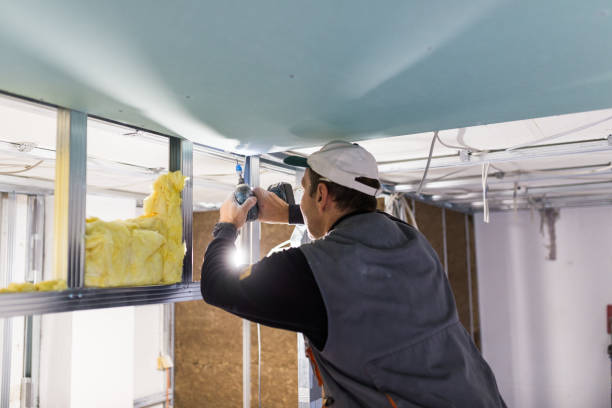 Best Insulation for Specific Applications in Sloan, IA