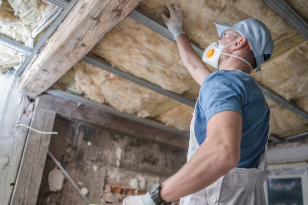 Best Commercial Insulation in Sloan, IA