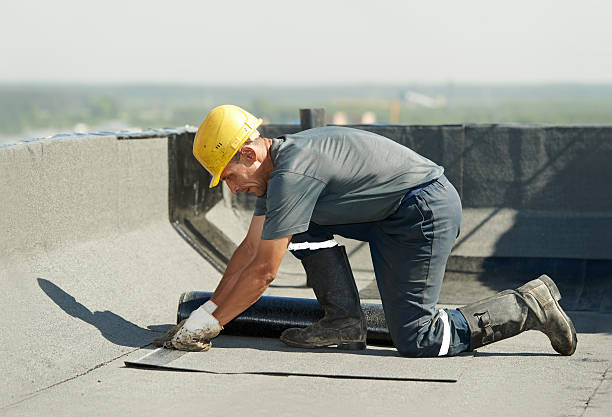 Best Insulation Installation Services in Sloan, IA