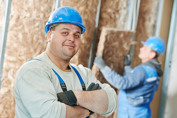 Best Residential Insulation in Sloan, IA