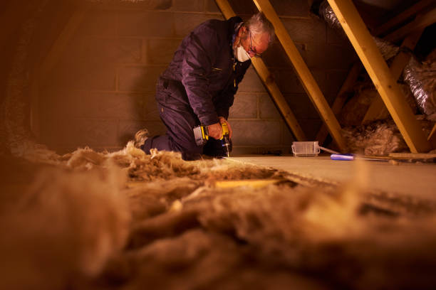 Best Types of Insulation in Sloan, IA